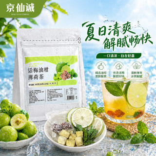 京仙诚 话梅油柑薄荷柠檬茶薄荷油柑冻干冷泡茶花果茶包清爽冷饮料200g