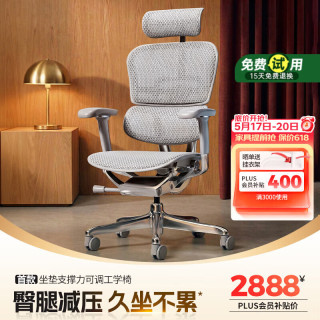 Ergonor 保友金豪E2 Pro人体工学椅 办公椅电脑椅 银白网