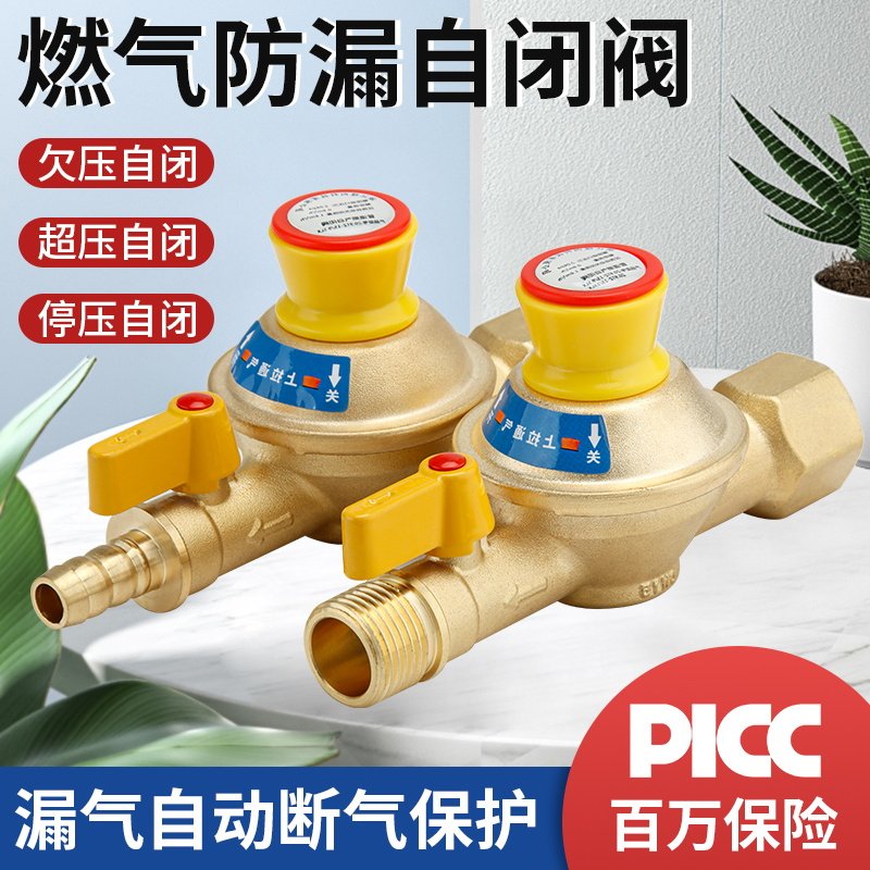 家用天然气管道燃气自闭阀天燃气阀自动切断阀