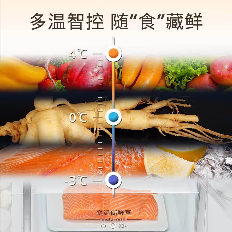 西门子 KC88EA420C+KC88EA256C+KC88BEA63C+KC82AA349C+KT92AA256C+KC89BVA58C 超薄零嵌入双开门冰箱