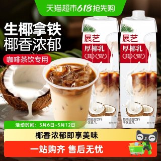 展艺 厚椰乳植物蛋白饮料 1L*2