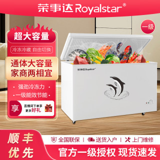 荣事达 冰柜大容量全冷冻型家用卧式速冻冷柜节能省电