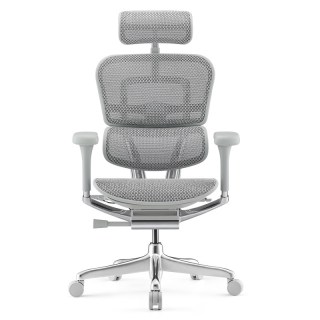 移动端：Ergonor 金豪e2 人体工学电脑椅 银白网铝合金脚