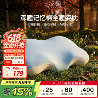 LOVO 罗莱家纺LOVO枕头枕芯记忆棉枕侧睡透气护颈椎助睡眠成人宿舍