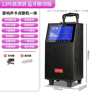 先飞 广场舞音响带显示屏户外K歌家庭KTV蓝牙音箱家用唱点歌机一体