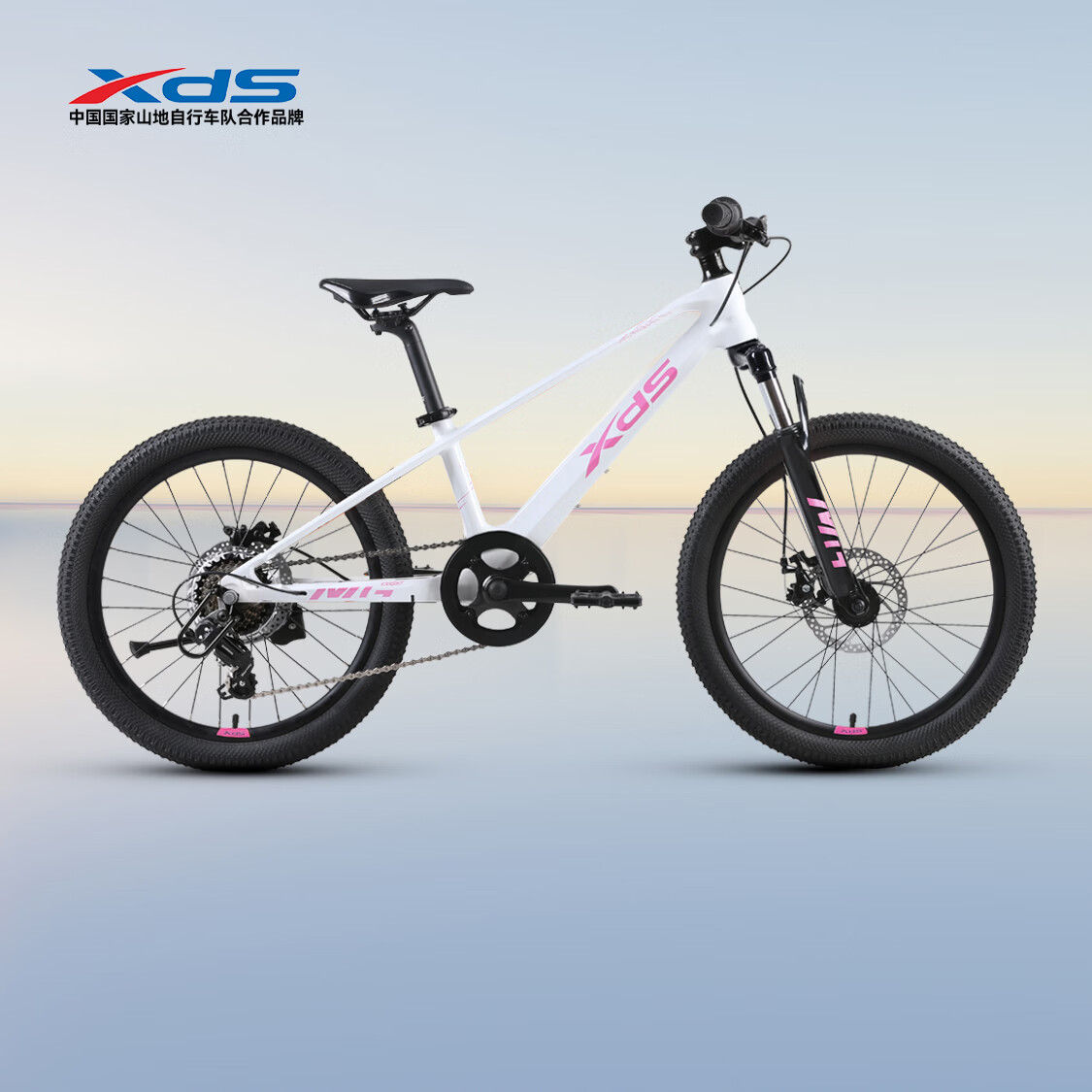  XDS/喜德盛 镁合金一体异形车架 青少年自行车 避震前叉 碟刹 心绯梦境（青春版）