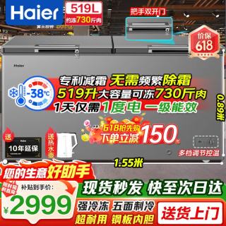 海尔 大容量冰柜500升以上卧式商用冰柜零下40度一级能效 -38度|防腐内胆|五面制冷|一级能效 519L