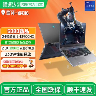雷神 猎刃16 24核英特尔酷睿i9标压RTX5080独显电竞游戏大学生设计编程商务办公16英寸300HZ高刷笔记本电脑196