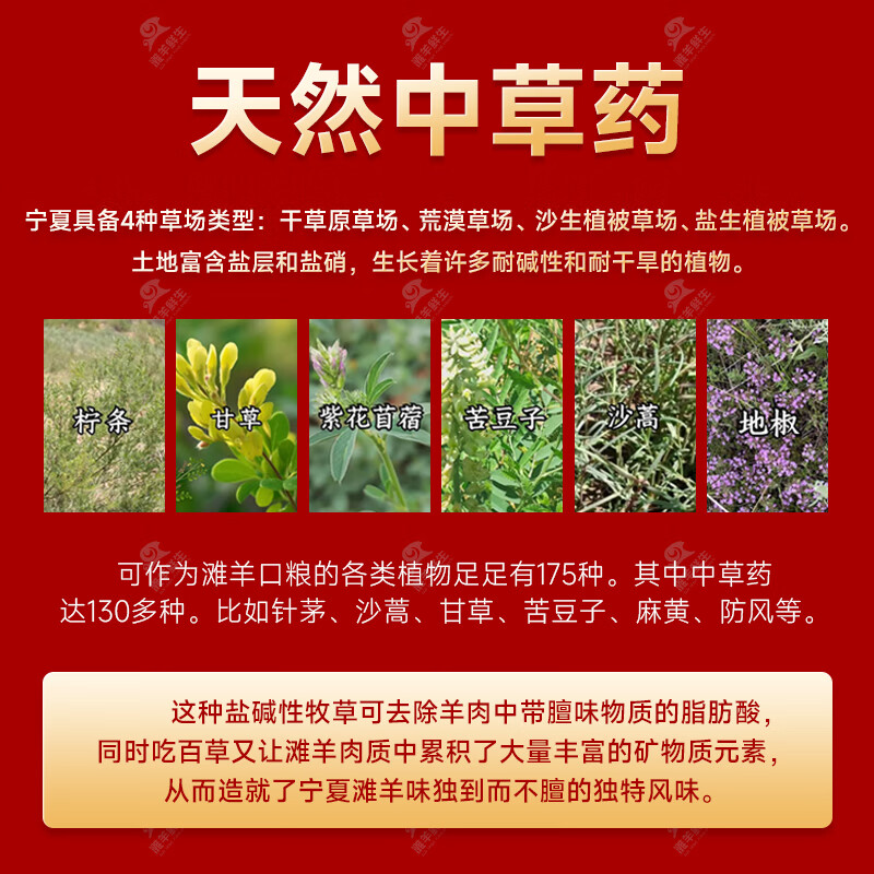 滩羊鲜生 宁夏滩羊整只白条羊 15斤 生鲜羊肉