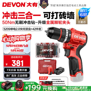 大有 12V无刷锂电钻手电钻充电钻冲击钻手转螺丝刀5209双电2.0快充