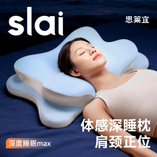 思莱宜 成人记忆棉人体工学颈椎枕 慢回弹 枕头*1