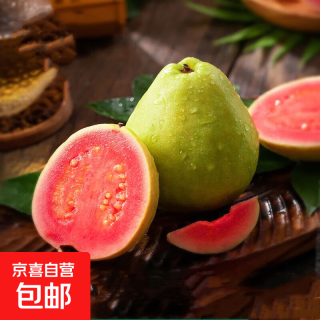 漳州 草莓芭乐红心芭乐 100-150g*4 净重3.6斤