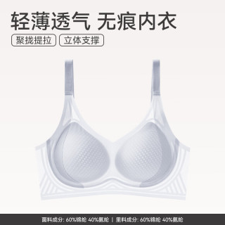 芬腾 内衣女士无钢圈大胸显小光面薄款透气文胸聚拢无痕全罩杯胸罩 浅兰 M