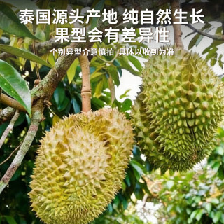 泰国进口金枕巴掌榴莲 8-10斤 箱装