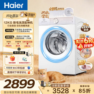 海尔 专业除毛洗 滚筒洗衣机