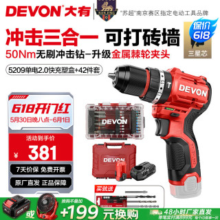大有 12V无刷锂电钻手电钻充电钻冲击钻手转螺丝刀5209双电2.0快充