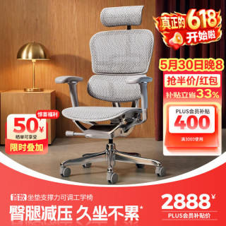 Ergonor 人体工学椅  办公椅、电脑椅、电竞椅 银白美国网