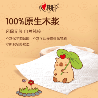 心相印 卡皮巴拉-能量豚系列纸巾云感抽纸餐巾纸M码3层100抽20包