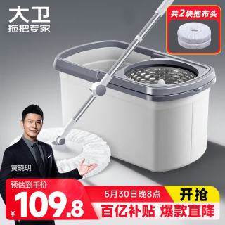 移动端、京东百亿补贴：大卫 免手洗 旋转拖把 拖布  D10 二个拖布头