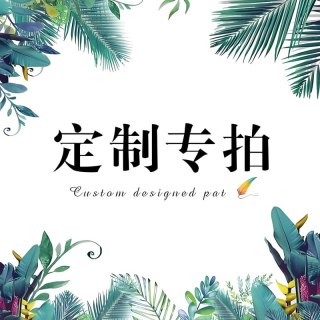 EVHHR 定制专拍 3