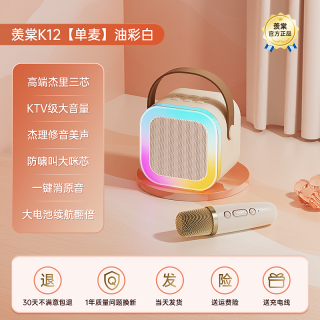 羡棠 话筒音响一体麦克风家用K歌无线蓝牙音箱唱歌儿童K拉ok小家庭KTV