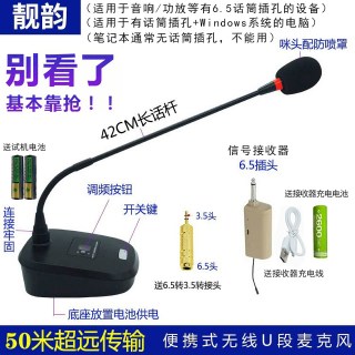 靓韵 一拖二无线会议麦克风 鹅颈式演讲话筒 电脑直播音响语音视频