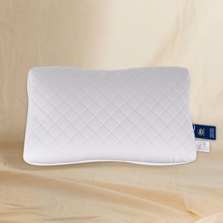 舒达 梦享软管枕 枕头 40x60x10cm 梦享软管枕A款 亲肤天丝两面睡