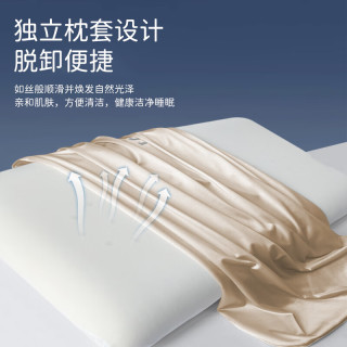 源生活 肌活力焕颜记忆枕头枕芯 深睡记忆棉枕芯零压慢回弹护颈枕头高枕