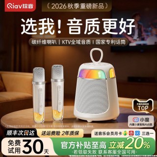 琮音 话筒音响一体唱歌家用k歌麦克风音箱家庭ktv蓝牙无线儿童政府补贴