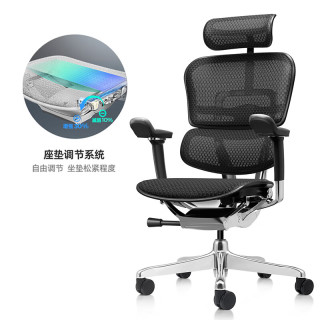 Ergonor 人体工学椅  黑色网
