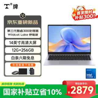 TH T牌钛14SE笔记本电脑2026英特尔Core3 304轻薄便携AI办公学习12G内存256G容量14寸灰