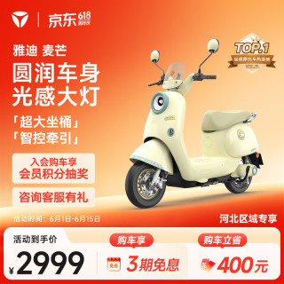 雅迪 麦芒电动轻便摩托车 60V长续航智能电动车