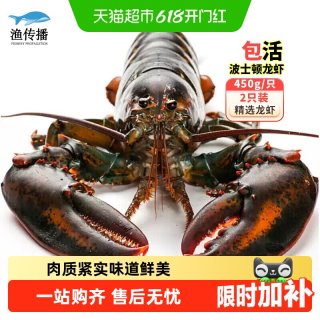 移动端：渔传播 鲜活波士顿龙虾450g*2只 海鲜水产