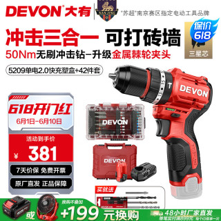 大有 12V无刷锂电钻手电钻充电钻冲击钻手转螺丝刀5209双电2.0快充