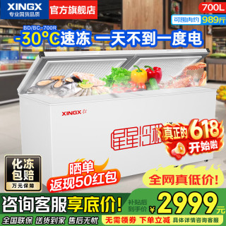 星星 冰柜 大容量全冷冻家用大冷柜卧式单温700升 商用冰柜700R
