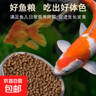 鱼食金鱼锦鲤专用鱼饲料观赏鱼增肥增色家用小颗粒上浮不浑水鱼粮 高蛋白鱼粮袋装*50g