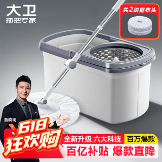 移动端、京东百亿补贴：大卫 免手洗 旋转拖把 拖布  D10 二个拖布头