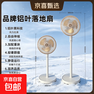 容声 电风扇落地扇家用空气循环扇轻奢铝叶可伸缩宿舍 胶叶轻音版
