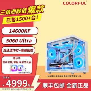 七彩虹 14600KF+5060Ultra七彩虹游戏电脑组装机台式主机白