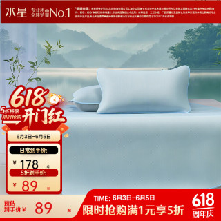 百丽丝 水星集团旗下 凉席冰丝席 A类120cm×195cm（两件套）