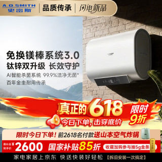 A.O.SMITH 佳尼特金圭电热水器CTE-60HD2 超薄双胆扁桶 3kW变频速热 免换镁棒 锌盾呵护