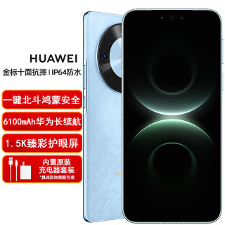 华为 5G全网通 华为 全新正品手机 网络 曲屏NFC 麒麟芯片 长续航闪充 512GB-竹韵青