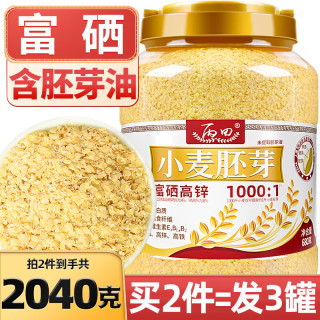 丙田 金黄小麦胚芽麦片 1罐 小麦胚芽粉即食儿童