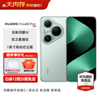 华为 Pura 80 Pro+ 一英寸高动态主摄 个性色卡AI辅助构图 华为p80鸿蒙智能手机 釉青 16GB+512GB 官方标配