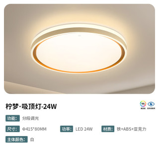 雷士 led吸顶灯时尚创意高显护眼 24W三色调光卧室灯（特权金延保2年）