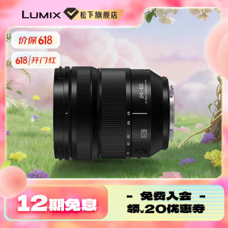 Panasonic F2.8恒定光圈 全画幅微单变焦镜头