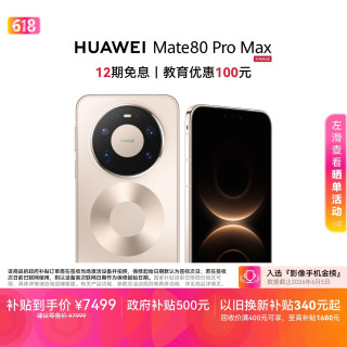 华为 Mate 80 Pro Max 手机 16GB+512GB 极昼金