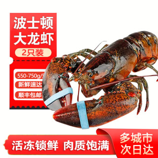 百鲜洽 特大龙虾波士顿龙虾 活冻波龙澳洲大龙虾海鲜水产冰鲜冷冻虾类 2只装（净重550g-750g/只）