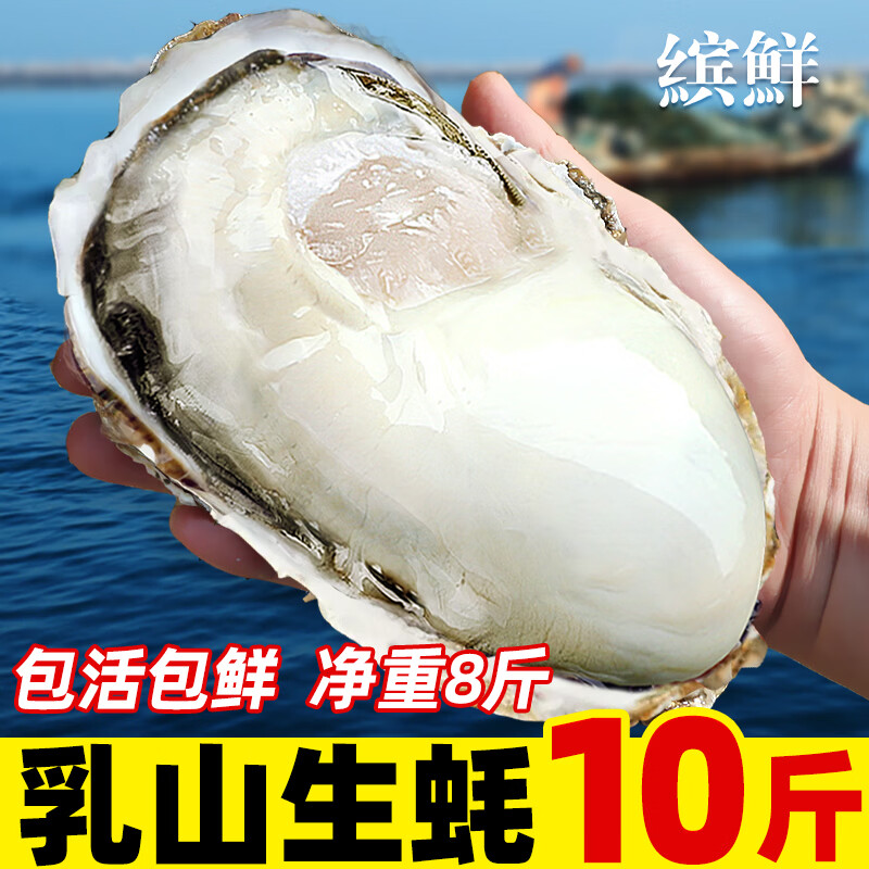 缤鲜 乳山生蚝 鲜活 10斤 3XL约16-24只 贝类
