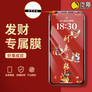 泛猫 适用苹果17ProMax发财iPhone16钢化膜15防窥14plus屏13手机12